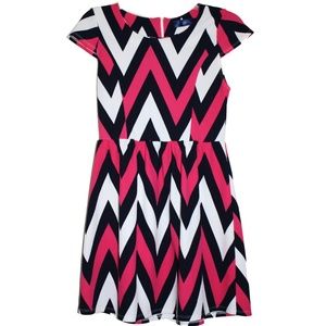 Pink and Navy Chevron Textured Dress